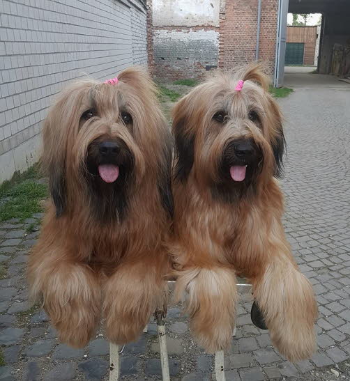 bild01