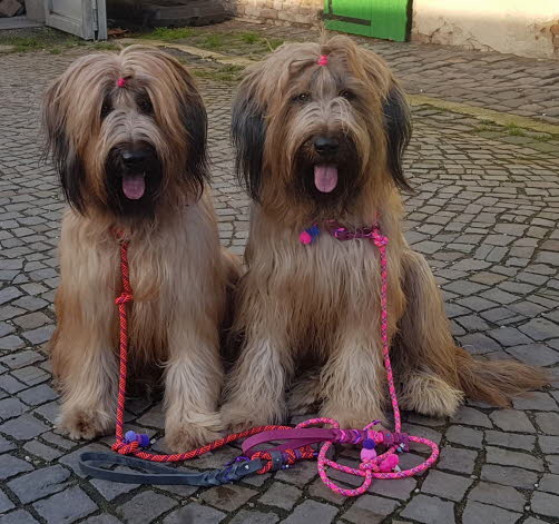 bild04
